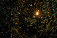 Lightpro Erba Mid 12V - sfeerbeeld