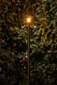 Lightpro Erba Mid 12V - sfeerbeeld