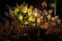 Lightpro Eros Hi 12V - sfeerbeeld
