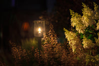 Lightpro Eros Hi 12V - sfeerbeeld