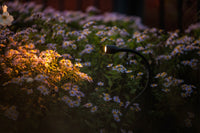 Lightpro Xible 12V - sfeerbeeld
