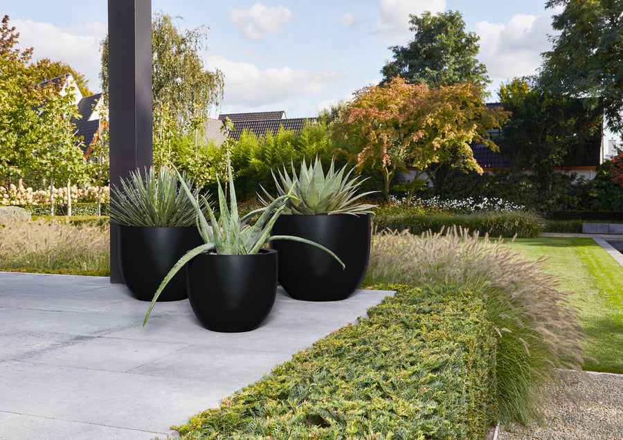 Luca Lifestyle Argento New Egg Pot