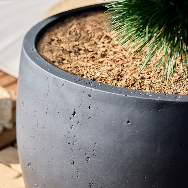 Luca Lifestyle Grigio Modern Bowl