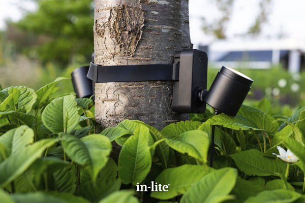 in-lite BRACE BAND