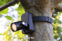 in-lite BRACE BAND – productfoto