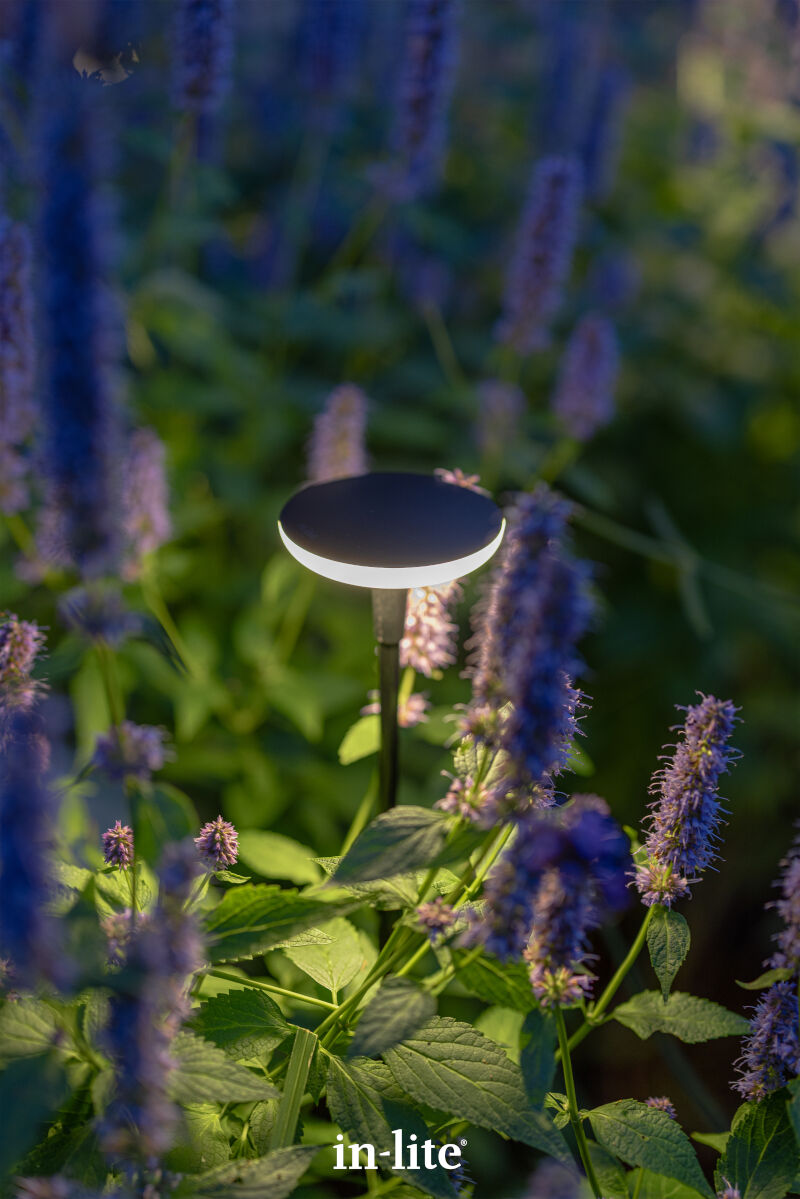 in-lite SWAY Pearl Grey – productfoto
