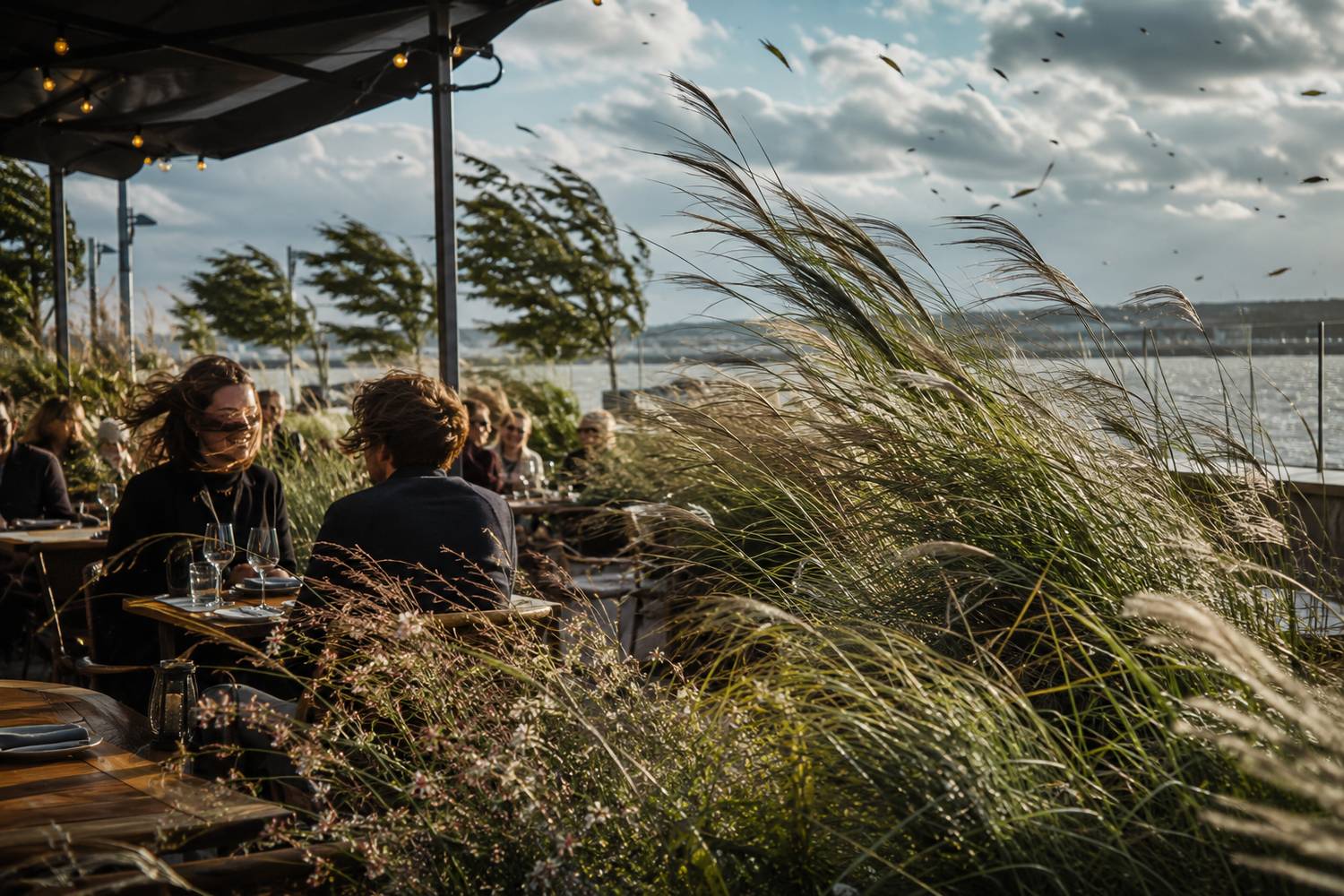 Windluwte creëren op een terras met beplanting