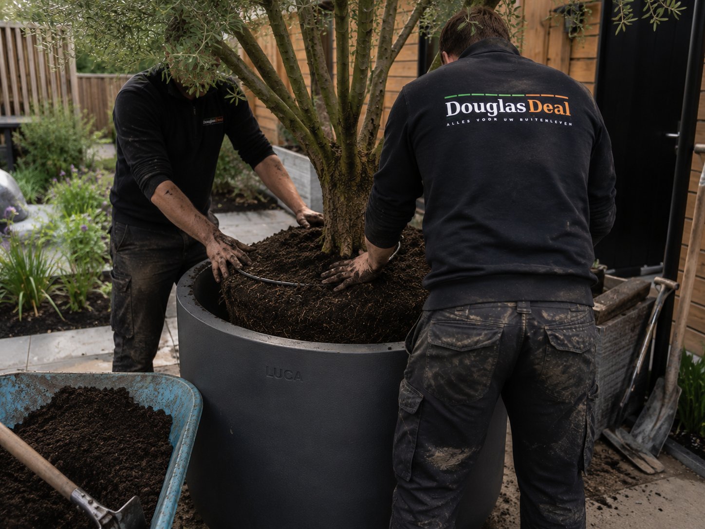 Aanplant van meerstammige bomen in grote plantenbakken bij een bedrijfspand